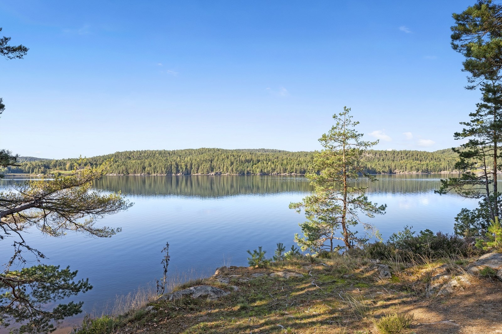 Øya byr på en fredelig hyttestemning. En perfekt blanding av ro, natur og ekte hytteliv. Galleribilde