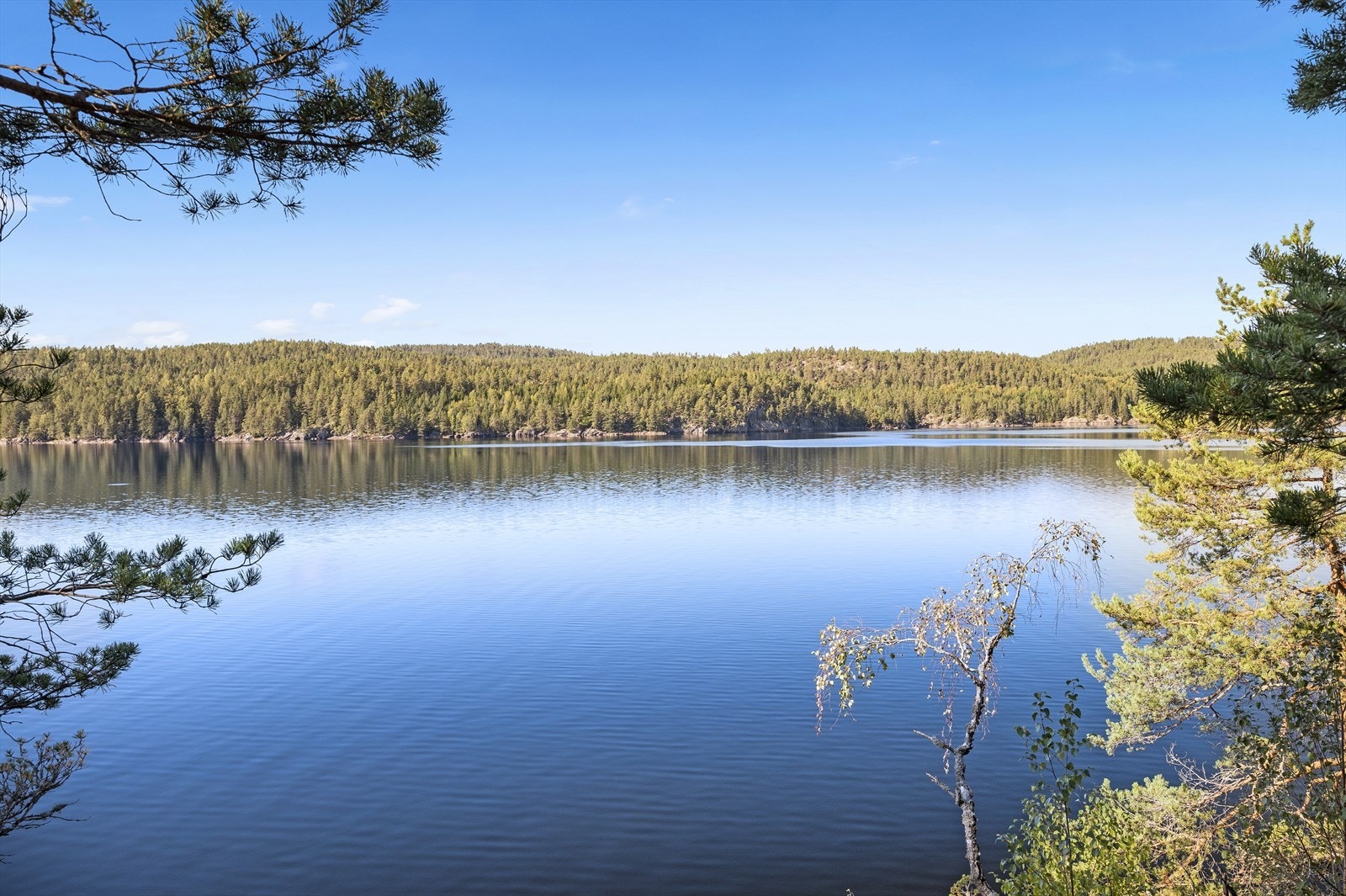 I Toke er det gode bade- og fiskemuligheter! Galleribilde