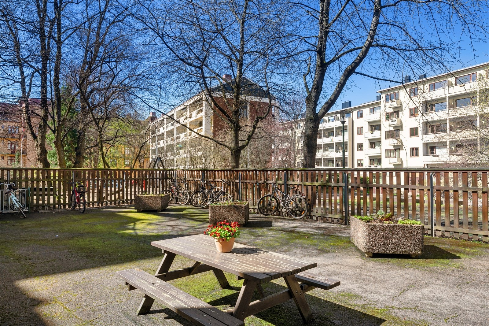 Tilbaketrukket og rolig bakgård Galleribilde
