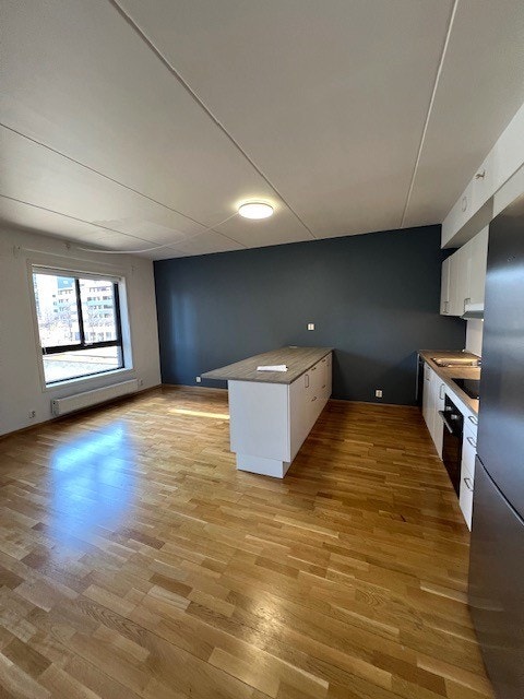 Stue med åpen kjøkkenløsning. Galleribilde