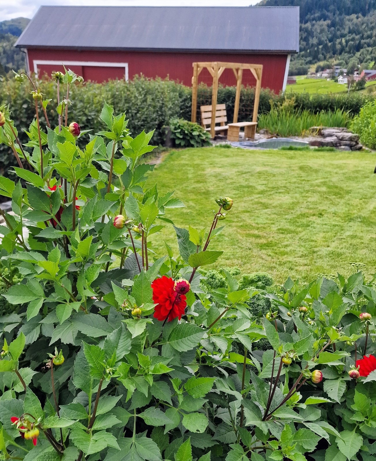 Eiendommen byr på en nydelig hage med masse blomster på vår/sommer Galleribilde
