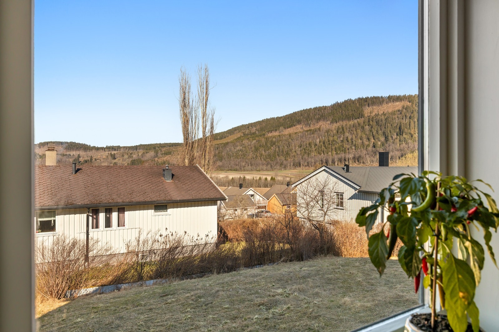 Trivelig utsyn fra kjøkkenvindu mot Brennberga/Byafjellet. Galleribilde