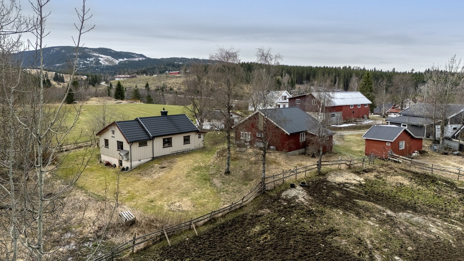 8-DJI_20260422130123_0194_D-HDR.jpg Galleribilde