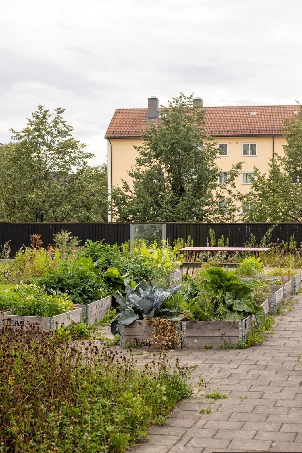 Frodig og hyggelig felles kjøkkenhage - et grønt og sosialt samlingspunkt for beboerne. Galleribilde