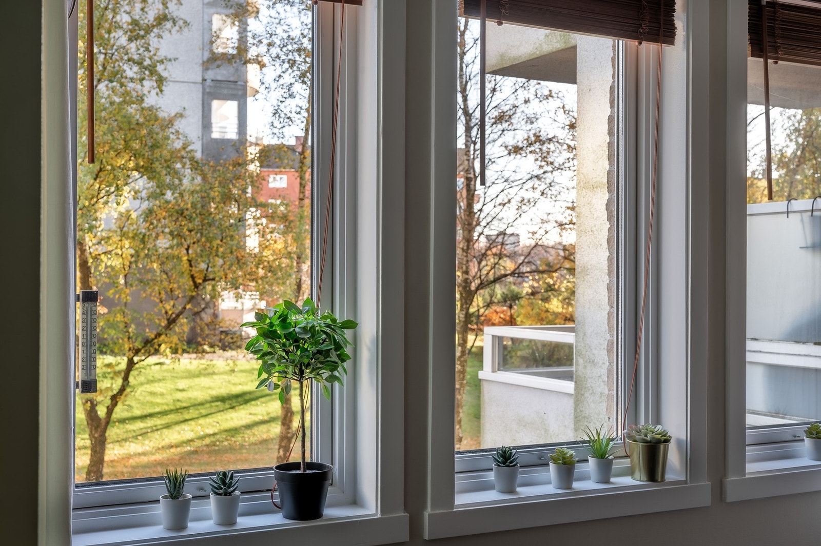 Frodig og fritt utsyn året rundt. Galleribilde
