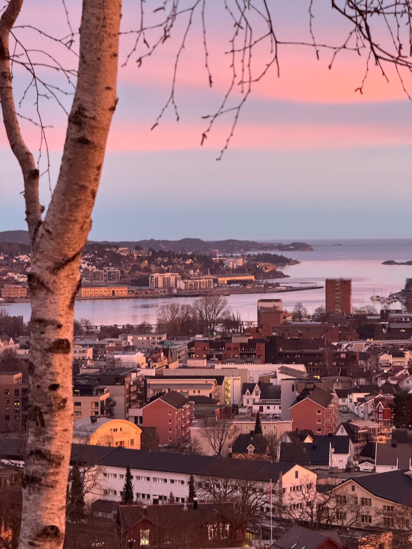 Vakker utsikt over fjorden Galleribilde