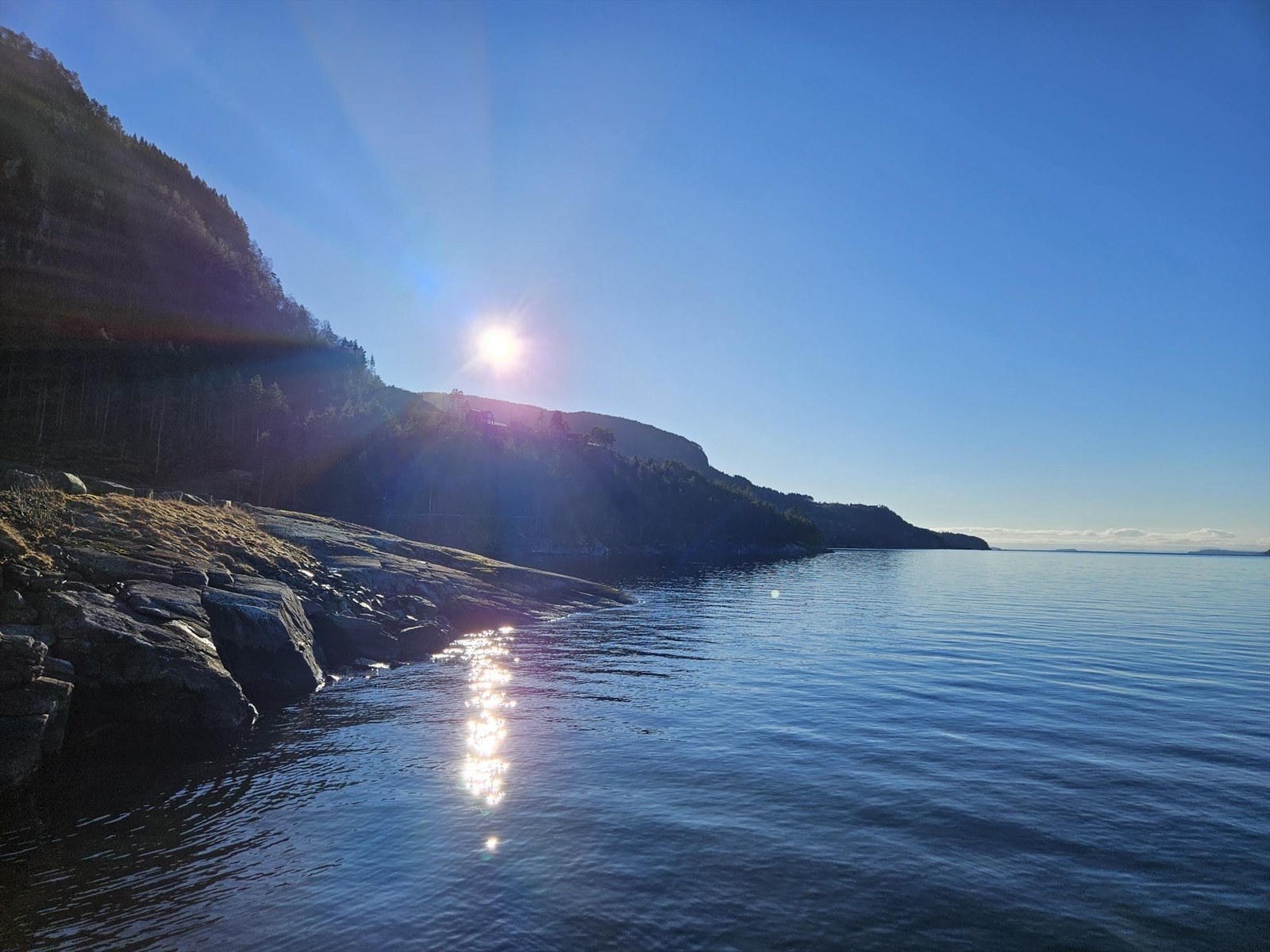 Ved sjøen Galleribilde