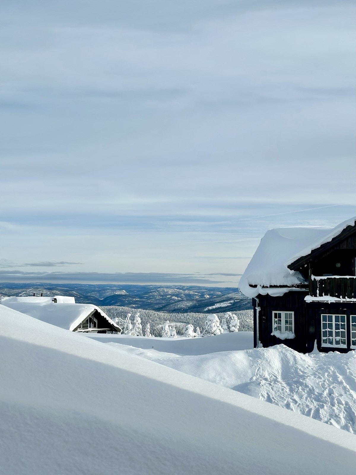 Selgers eget bilde! Galleribilde