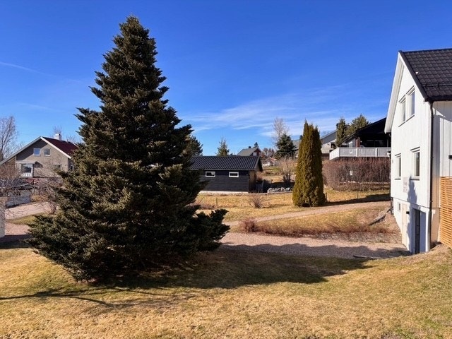 Stor tomt med plen og beplantning. Galleribilde