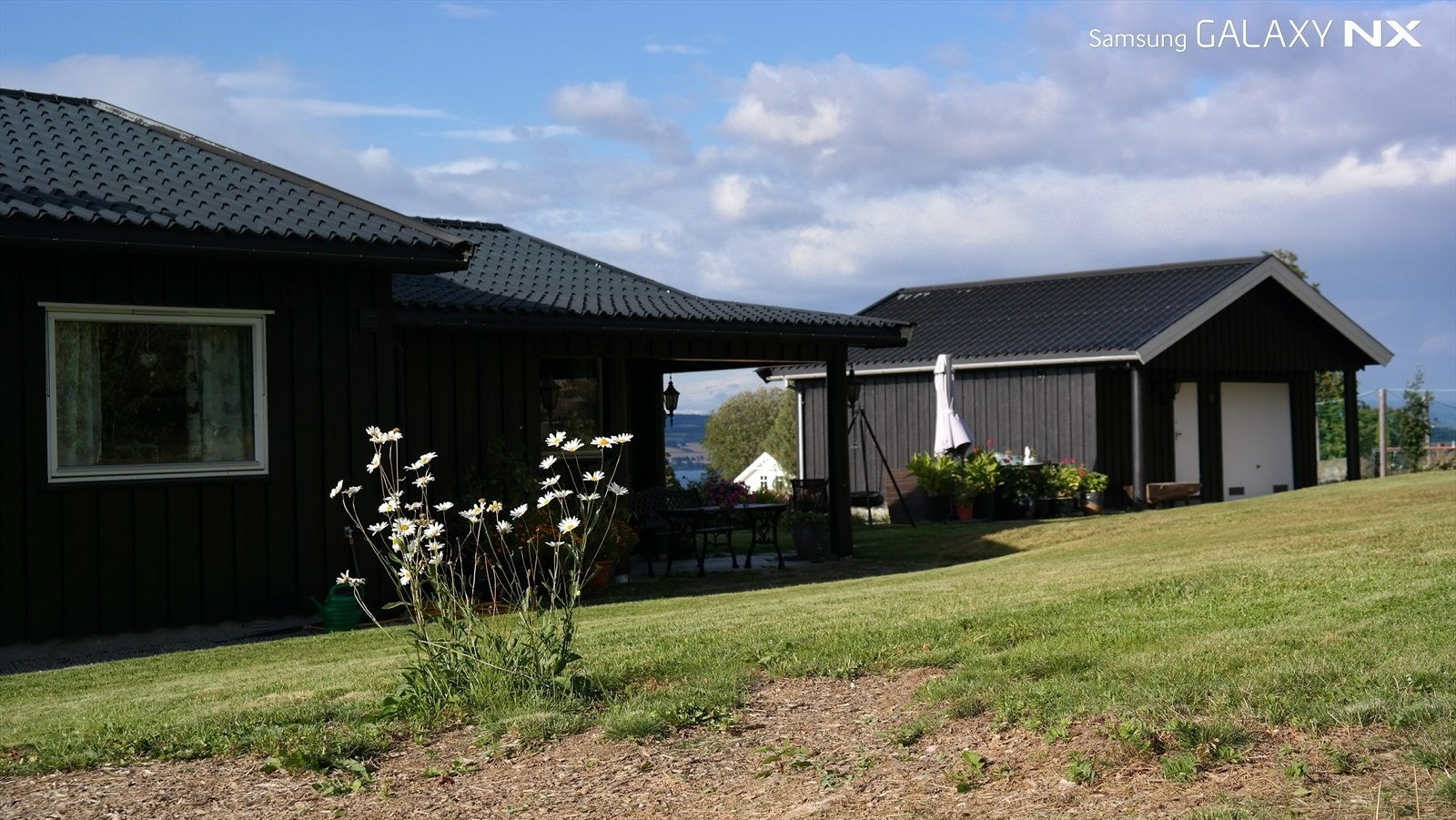 Selgers private bilde. Galleribilde