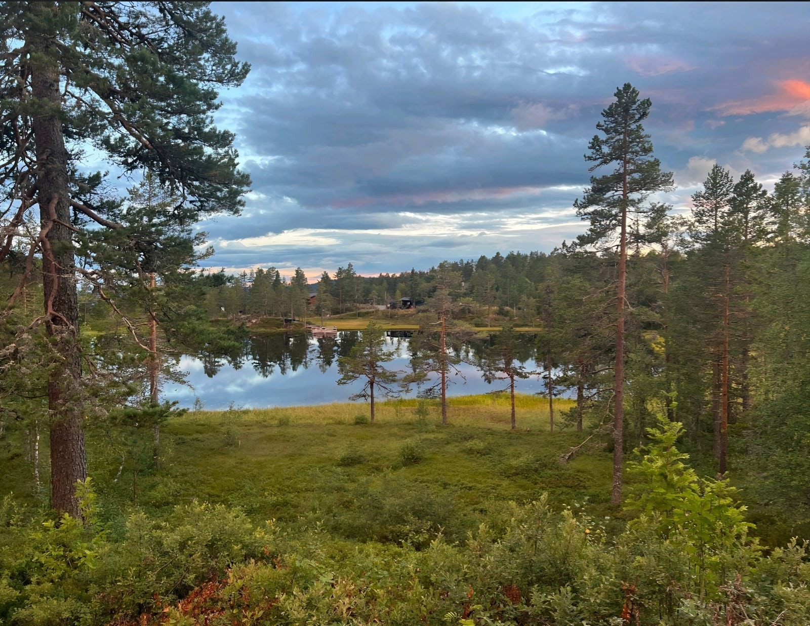Flott utsikt mot vannet! Selgers bilde Galleribilde