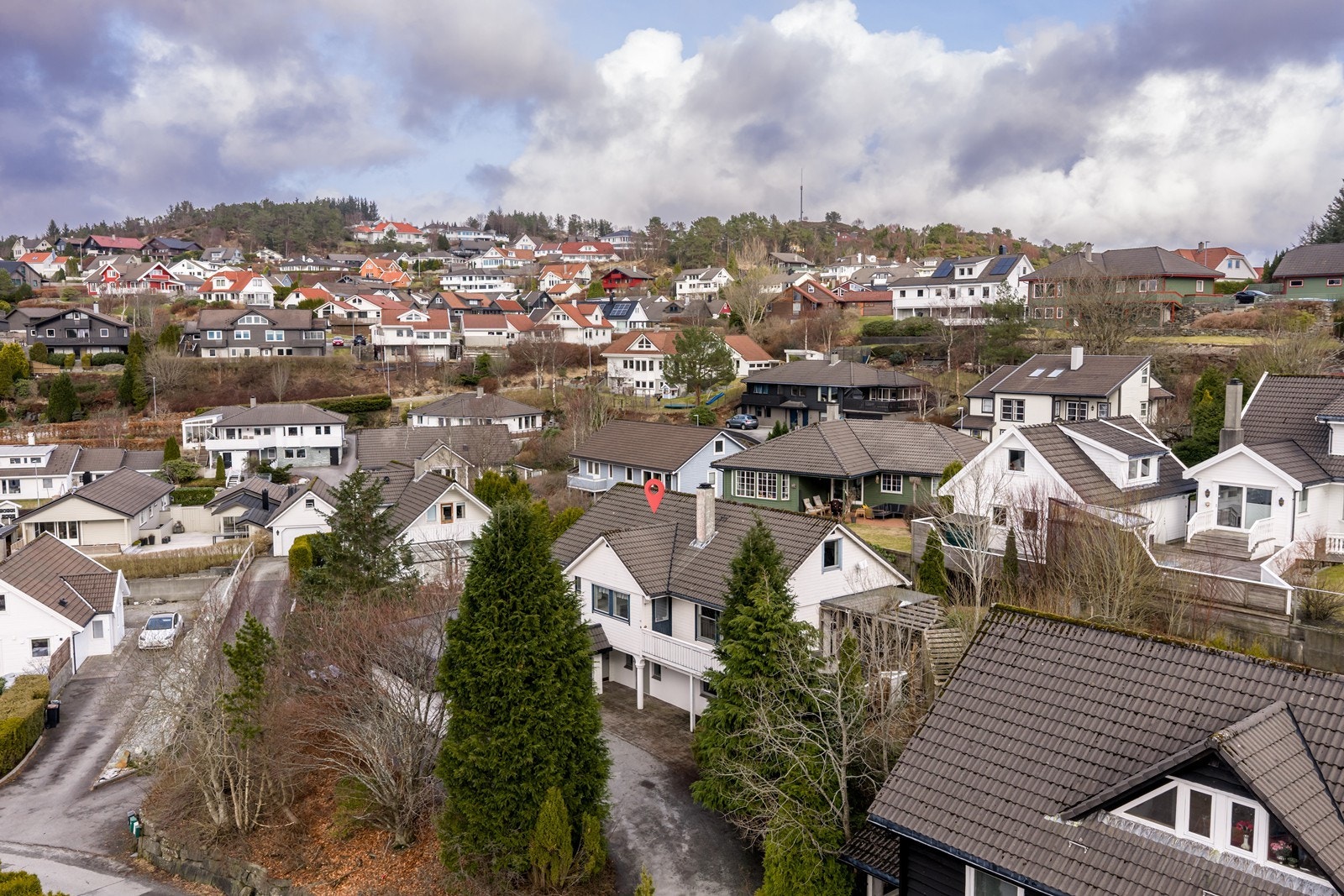 Fasde Galleribilde