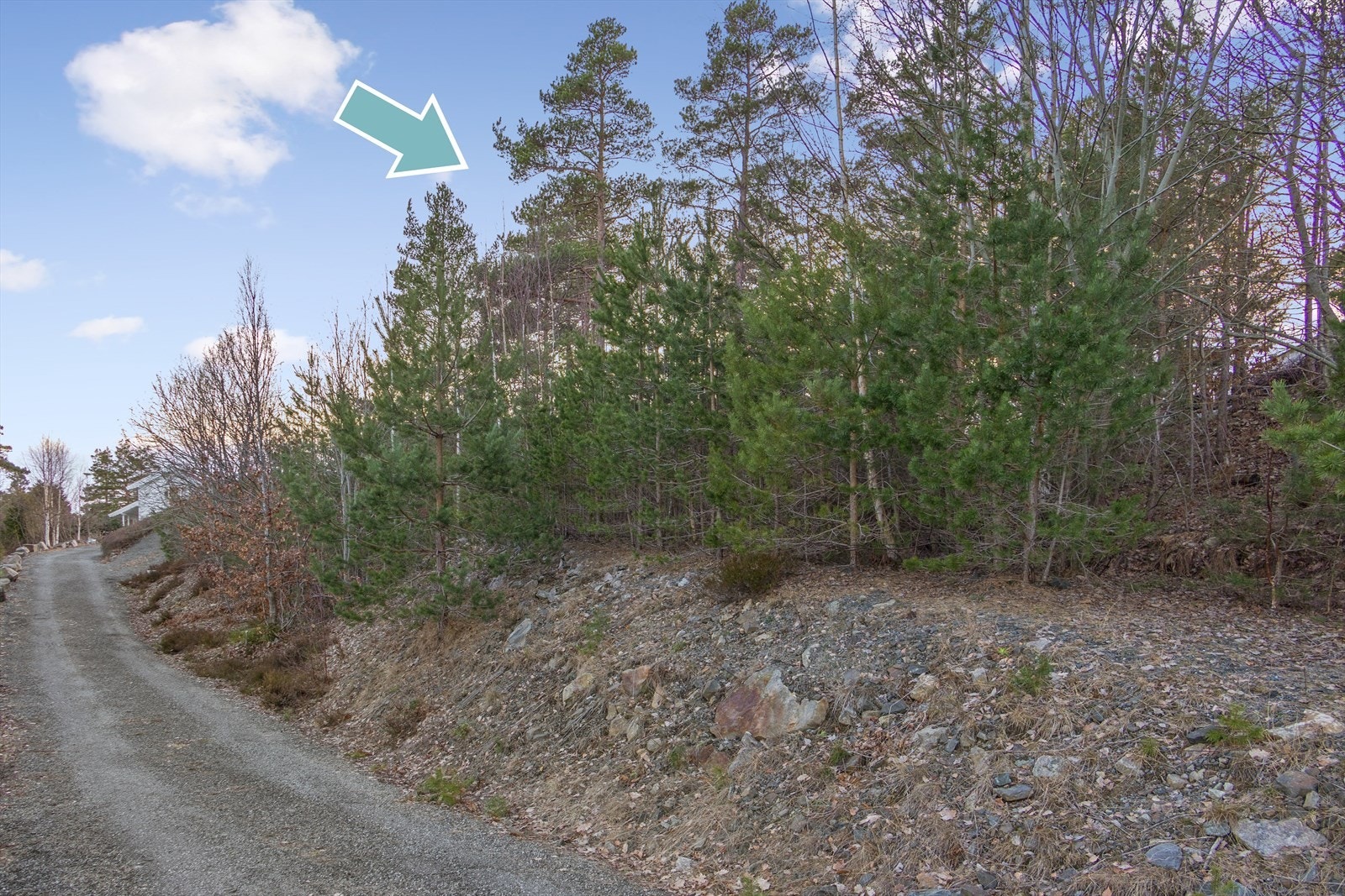 Tomten ligger nærme veien, som for øvrig er lite traffikert Galleribilde