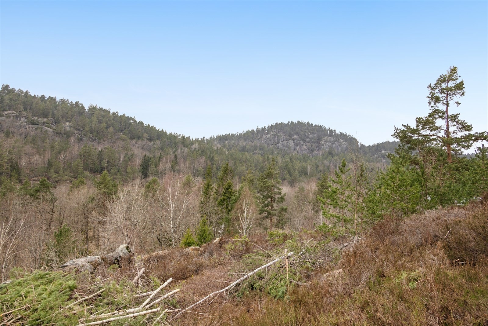 Fra tomten er det en mangfoldig utsikt over både sjø, furuskog og flotte fjellformasjoner Galleribilde
