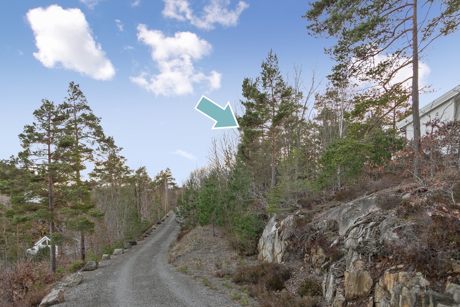 Adkomstvei til tomten kan lett etableres her! Galleribilde