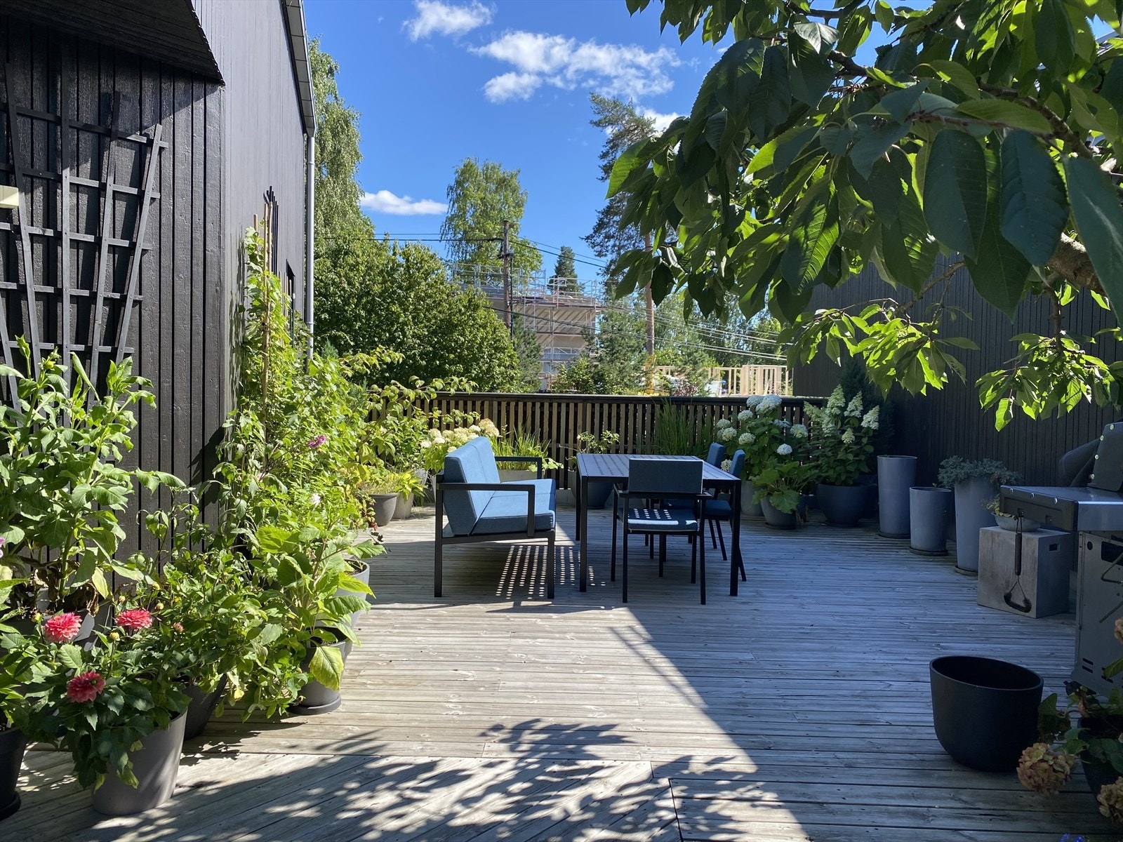 Terrassen om sommeren. Galleribilde