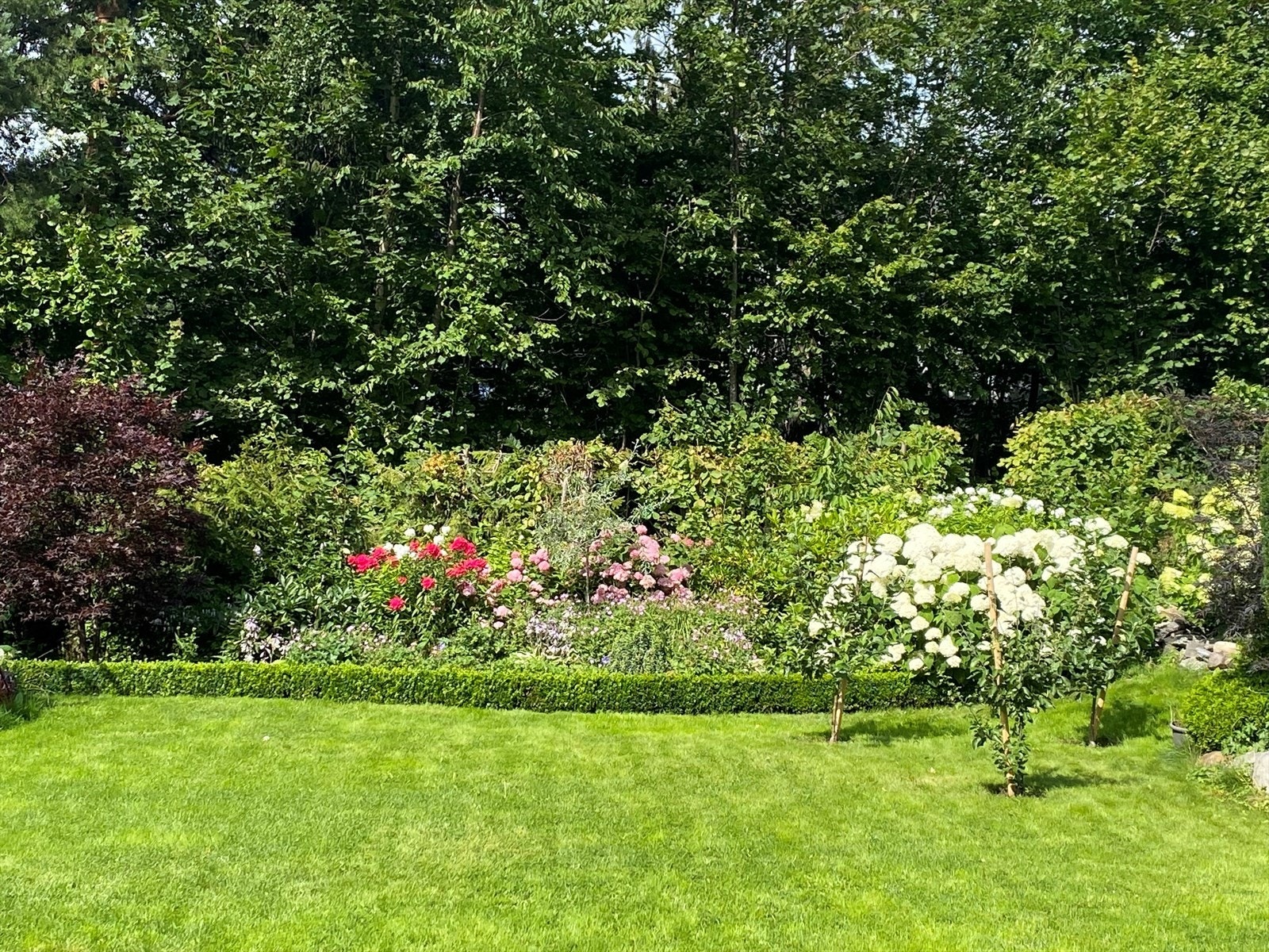 Nydelig hage etablert med plen, hekker og diverse beplantning som skaper en grønn og privat ramme rundt eiendommen. Galleribilde