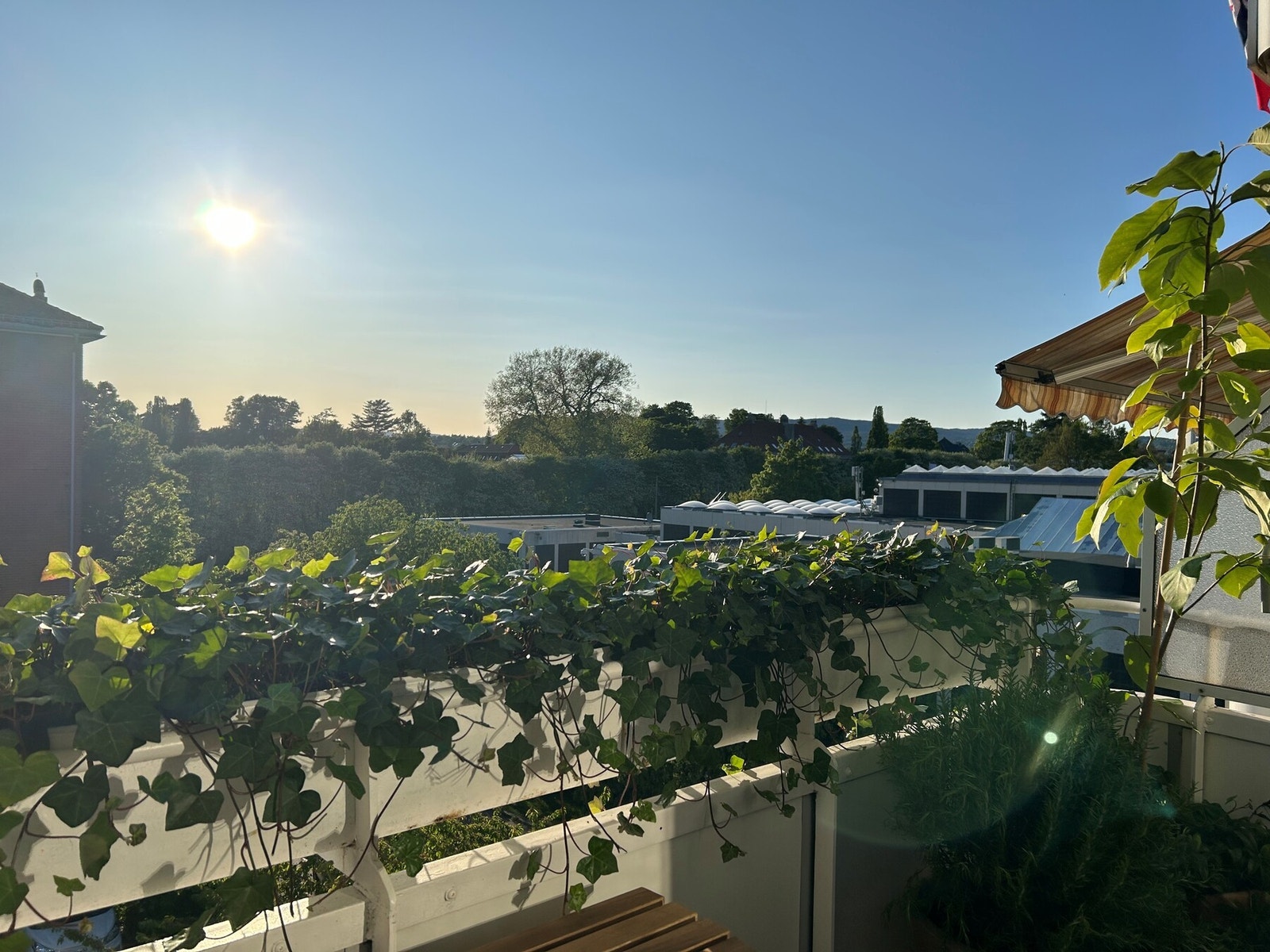 Fra balkongen kan man nyte rolige omgivelser med utsyn mot grønne trær fra Botanisk hage. Selgers eget bilde. Galleribilde