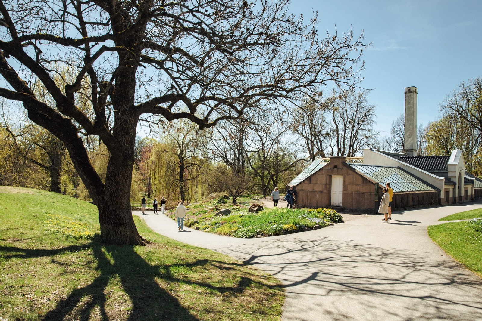 Botanisk hage ligger kun 2 minutters gange fra leiligheten - byens vakreste park. Galleribilde