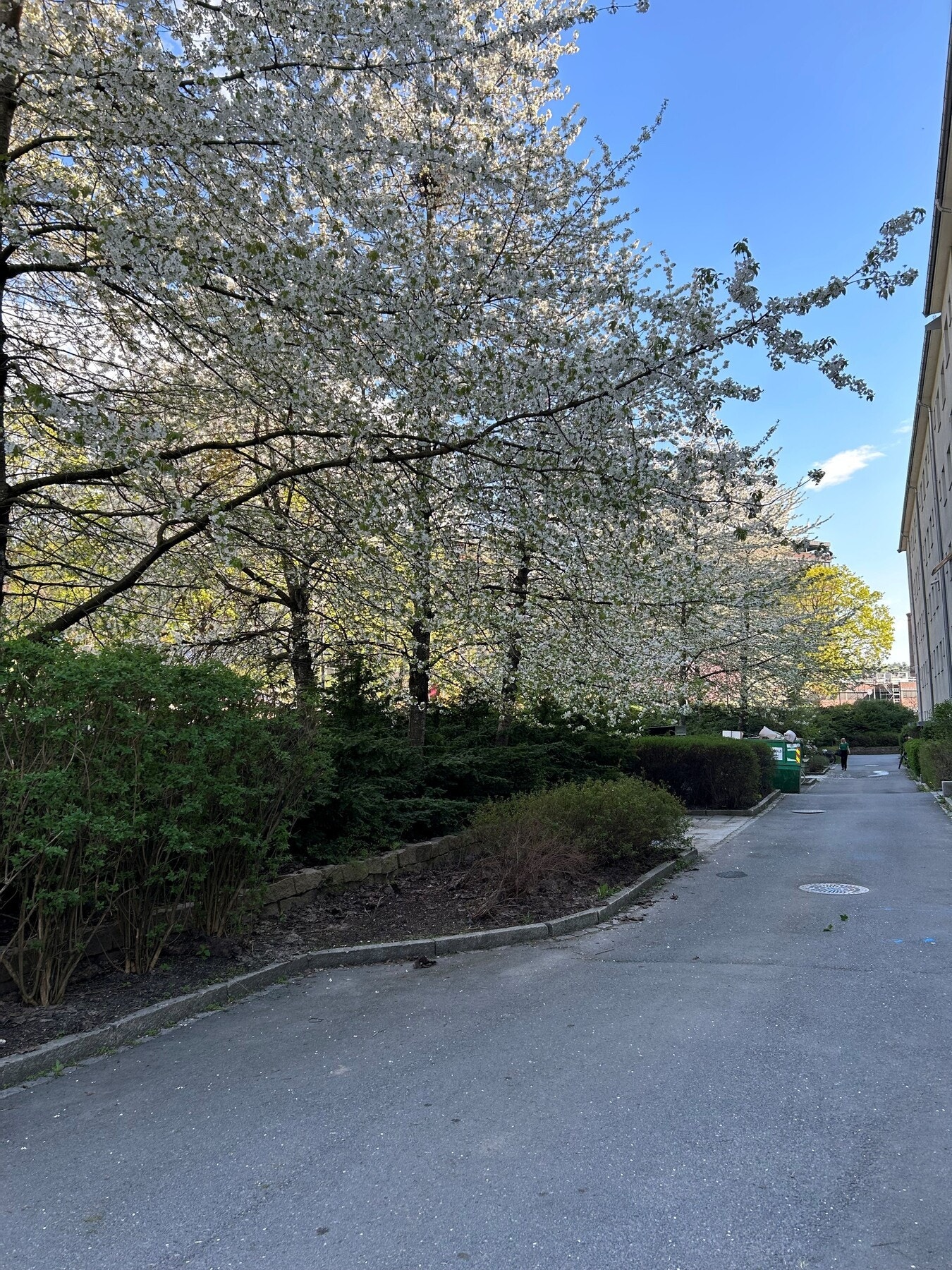 Privat og barnevennlig allé. Aksjelaget har totalt åtte gjesteparkeringsplasser på kortsidene av bygget. Galleribilde