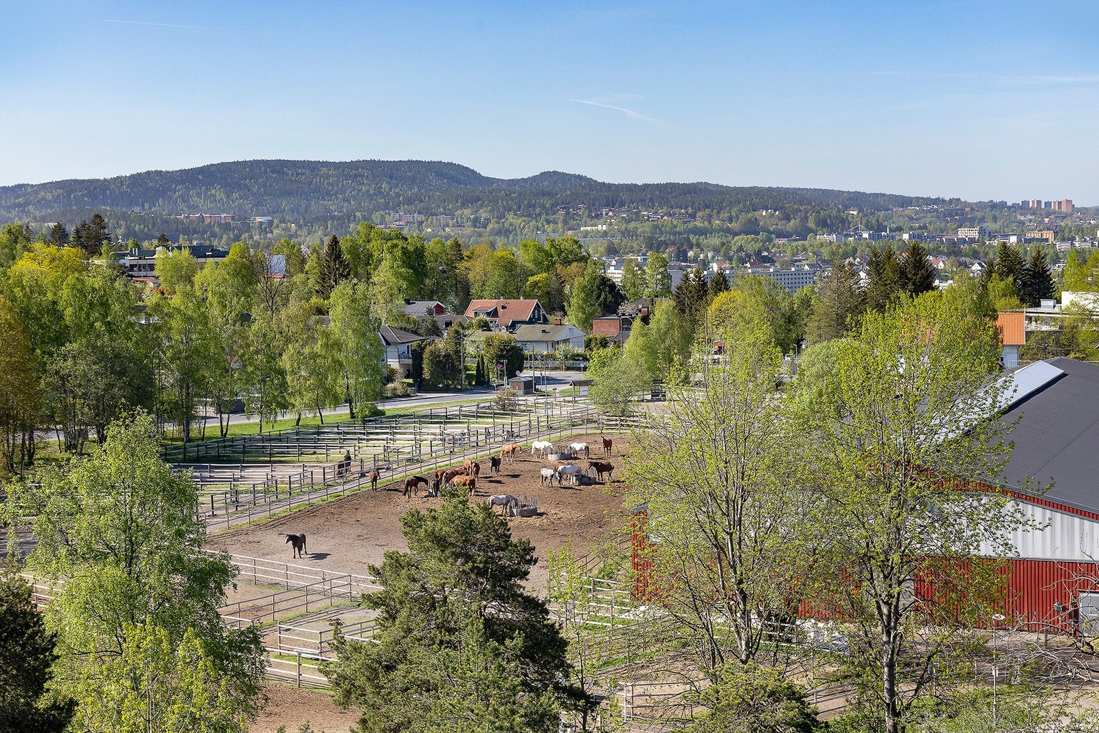 Øvre Fossum Gård er en åpen gård der barn og unge kan få oppleve hester og andre gårdsdyr. Galleribilde