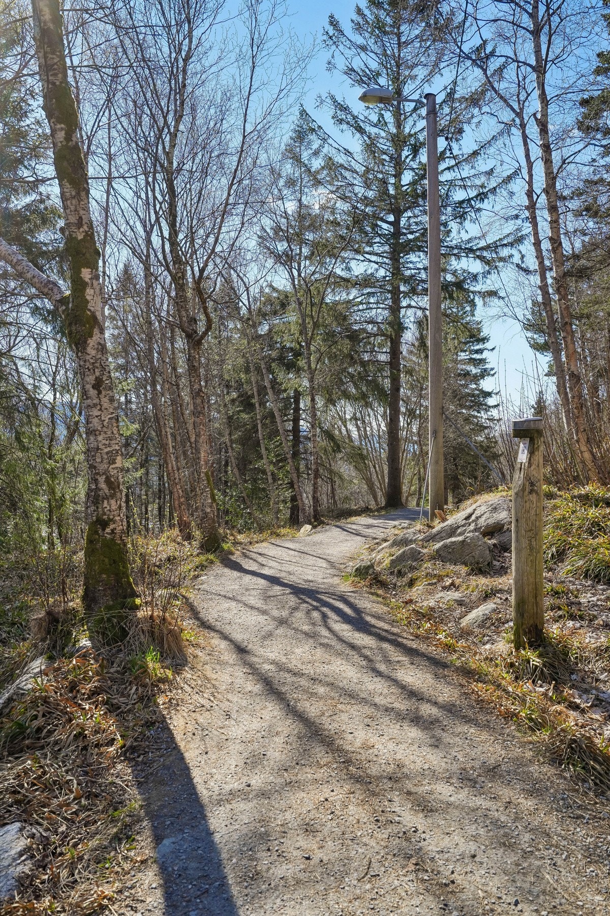 Akslafjellet er kjent for sin ikoniske panoramautsikt over jugendbyen og Sunnmørsalpene. En fin tur for hele familien og i kort avstand fra boligen. Galleribilde