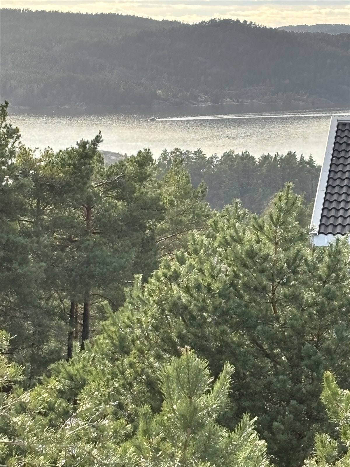 Privat bilde Galleribilde