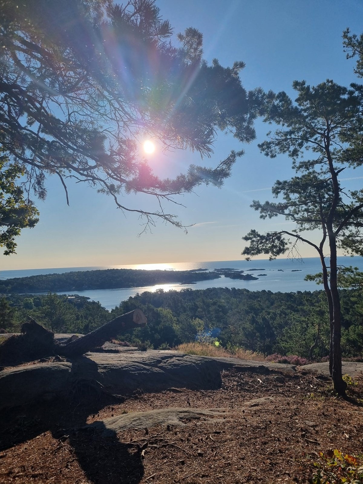 Fine turområder også! Galleribilde