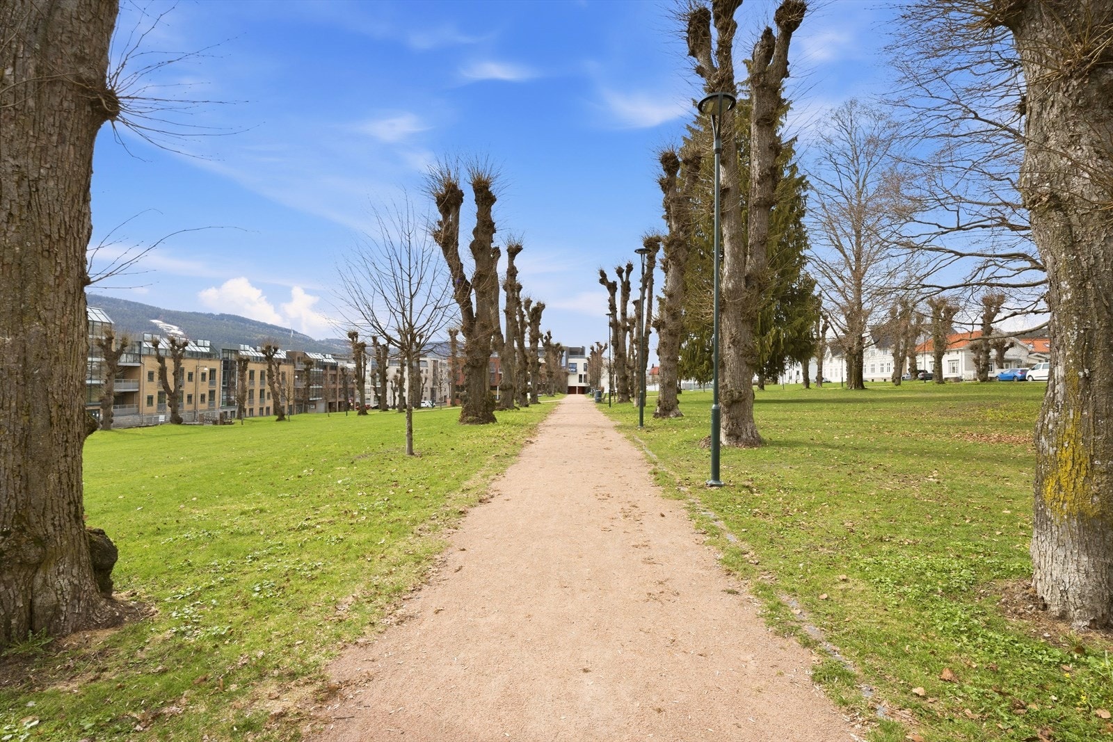 Flotte parkarealer rett utenfor leiligheten Galleribilde
