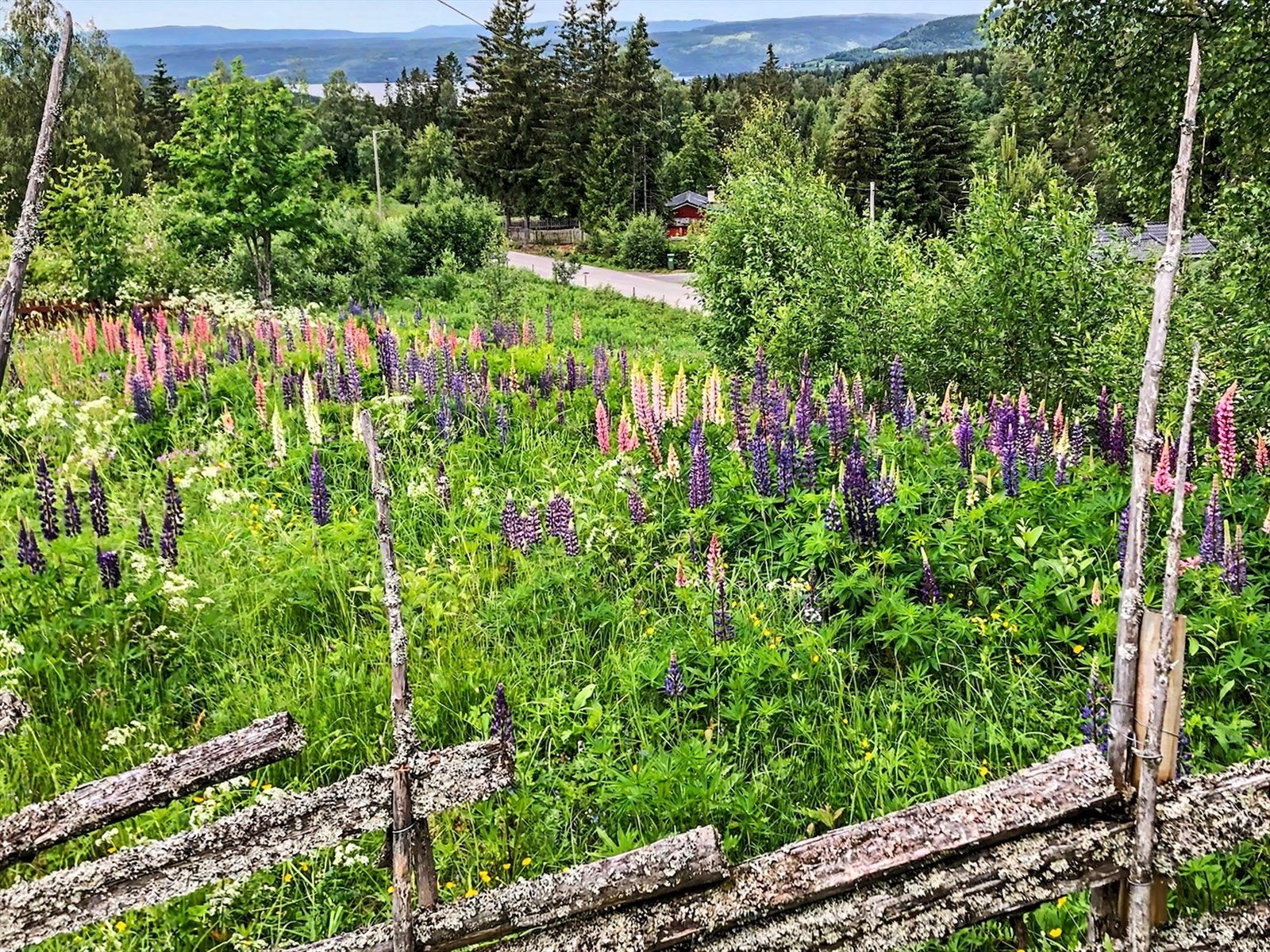 Nærområdet byr på vakker natur og landlige omgivelser. Galleribilde