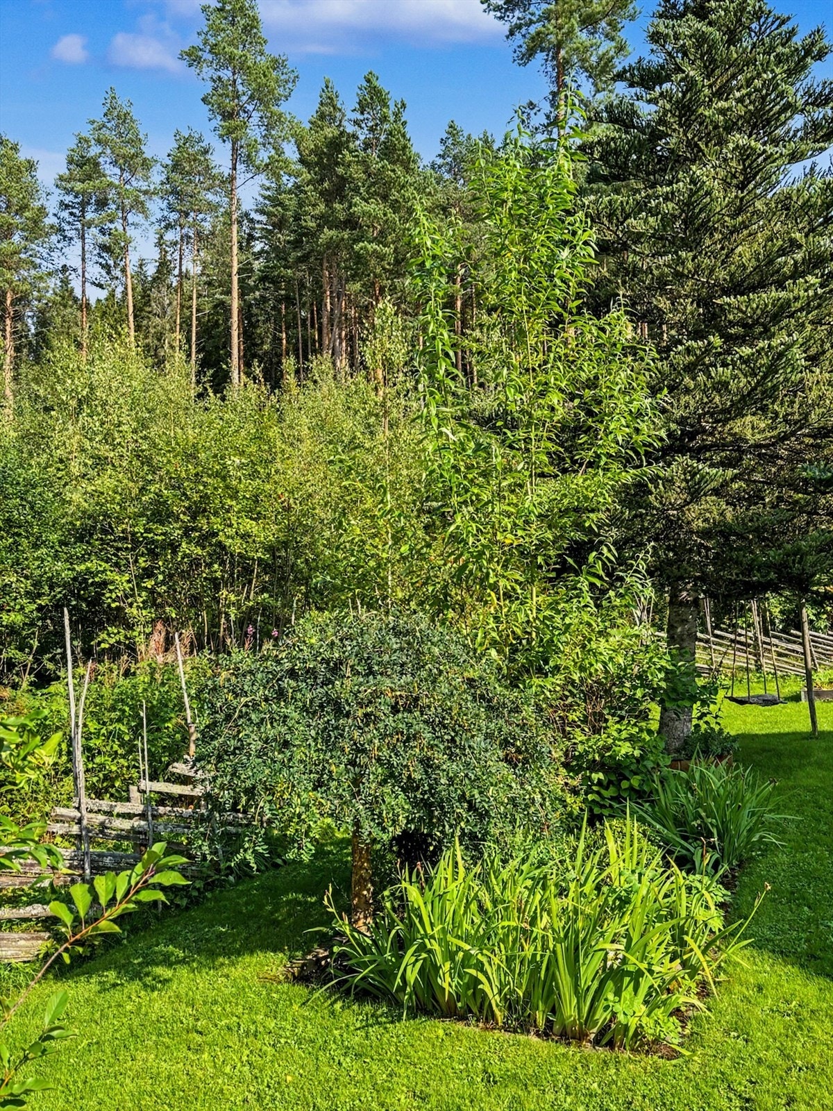 Den store tomten på over ett mål er pent opparbeidet med plen og beplantning. Galleribilde