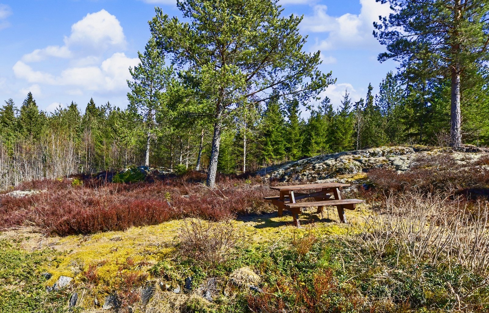 Naturtomten byr på flere fine uteplasser i usjenerte omgivelser. Galleribilde