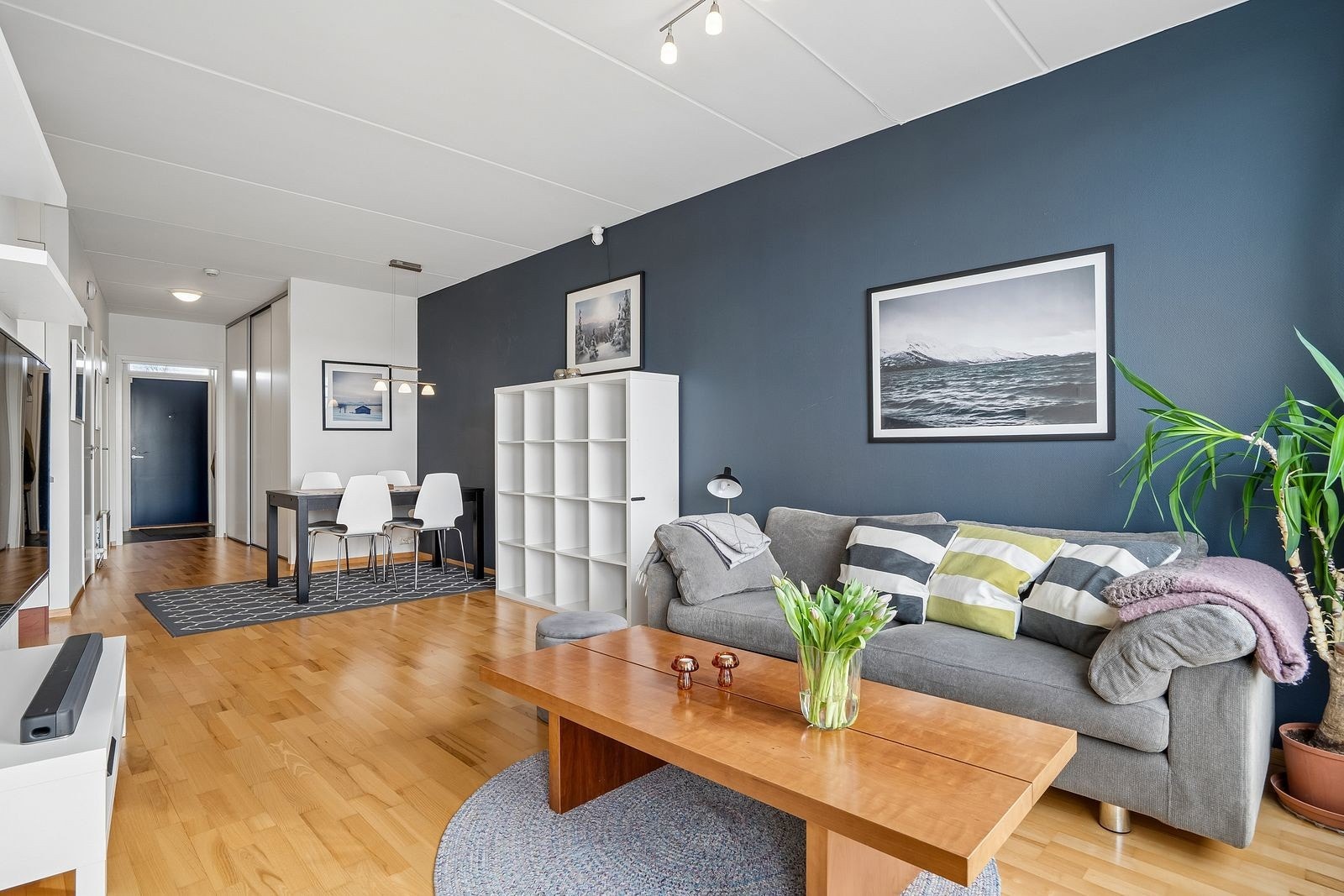 Velkommen til Edderdunvegen!