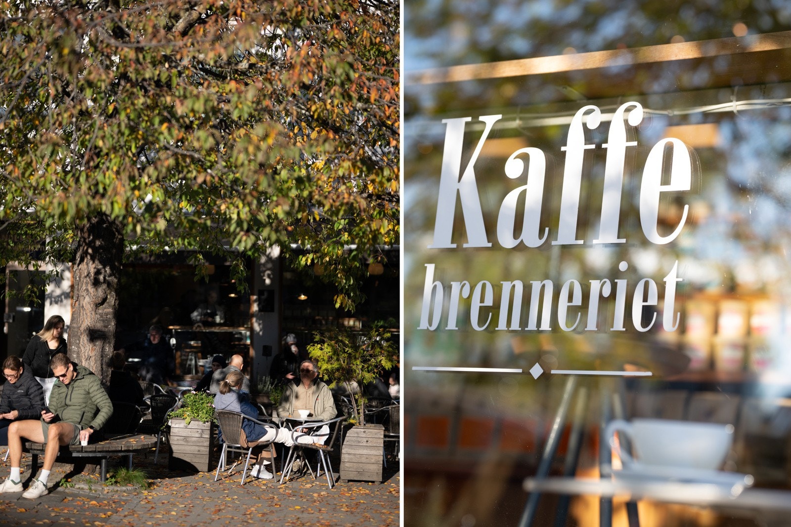 I umiddelbar nærhet finner man alt Sandvika kan by på av forretninger og servicetilbud, Sandvika Storsenter, kino, kulturhus, bibliotek samt hyggelige kaféer og spisesteder. Galleribilde