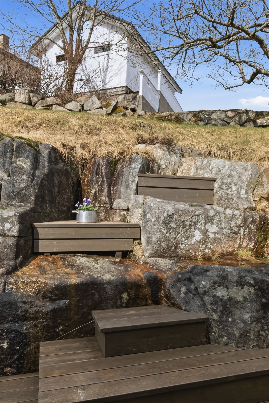 Koselig naturtomt på baksiden med plommetre. Galleribilde