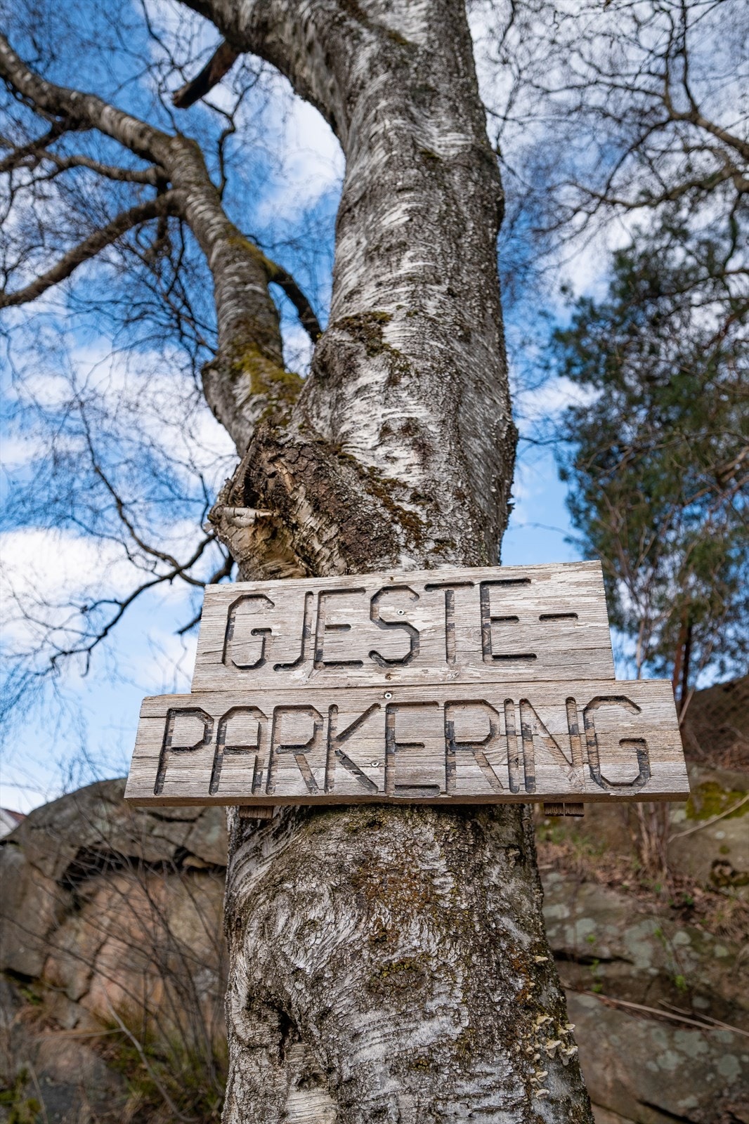 Veldrevet sameie i området Galleribilde