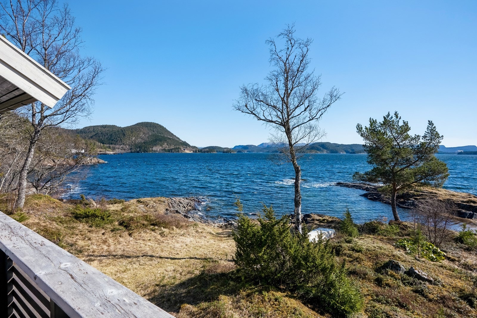 Eiet tomt på 901 kvm. Galleribilde