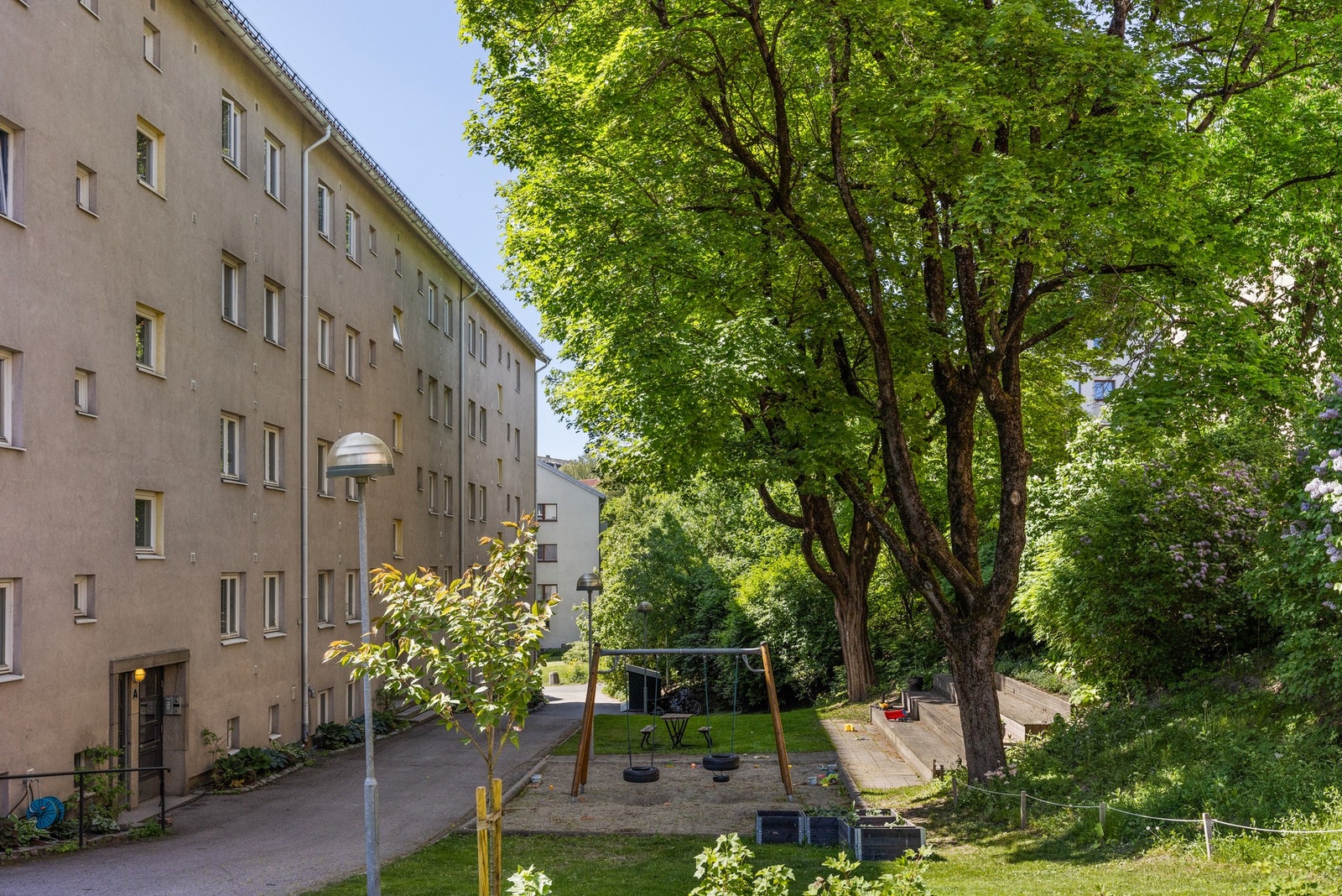 (arkivbilde) Galleribilde