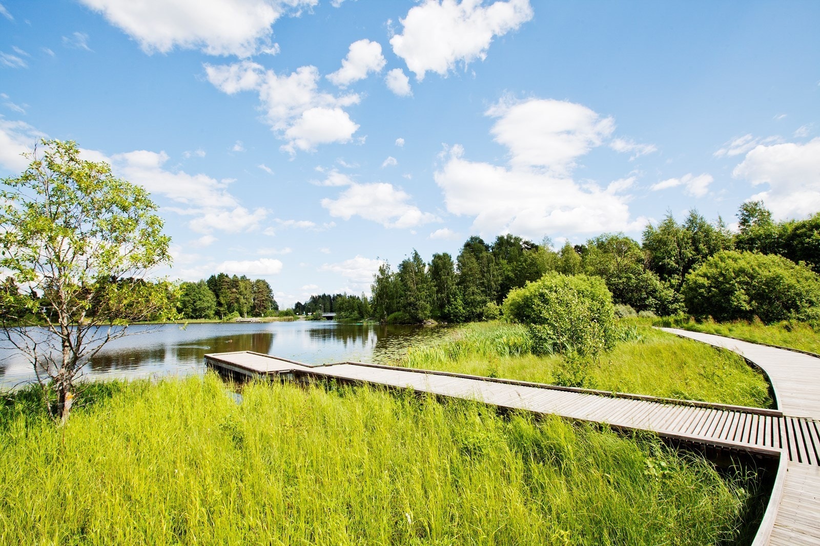 Langvannet med blant annet fin langgrunn badeplass sommerstid. Galleribilde