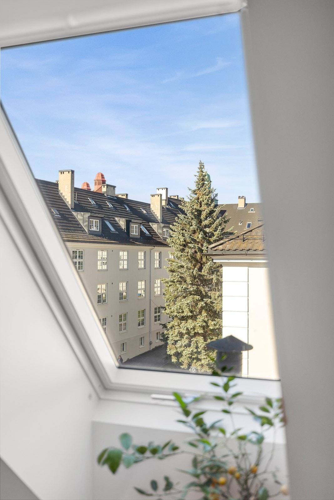 Velux takvinduer med to-lags glass gir godt lysinnslipp. Galleribilde
