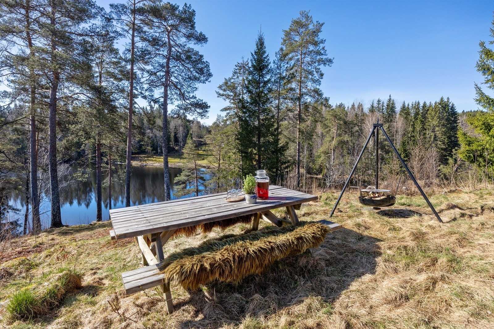 Tomten består av mye naturtomt med mange fine plasser Galleribilde
