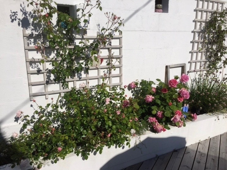 Her kommer et lite knippe stemningsbilder fra selgers private fotoalbum. Galleribilde