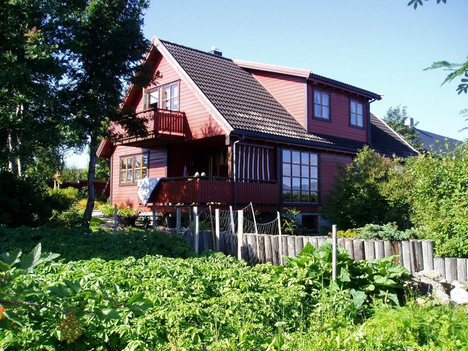 Bilde fra selger. Galleribilde