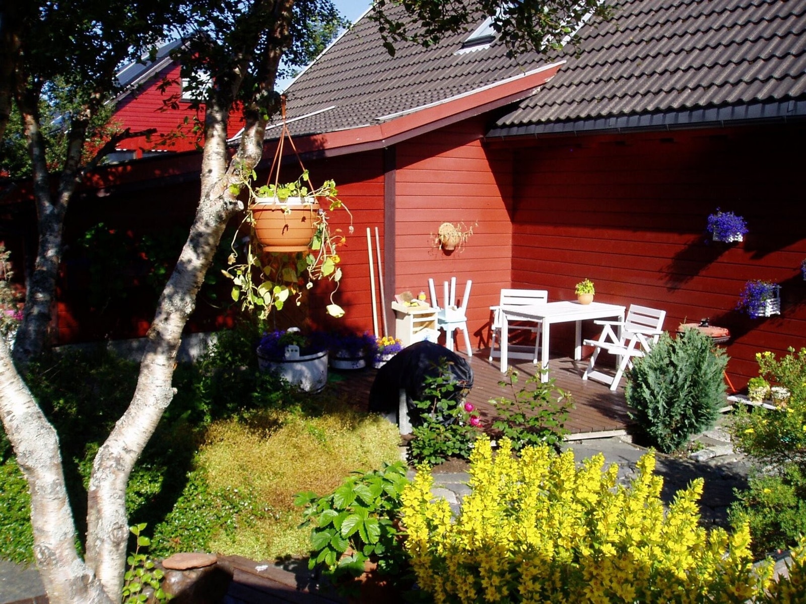 Bilde fra selger. Galleribilde