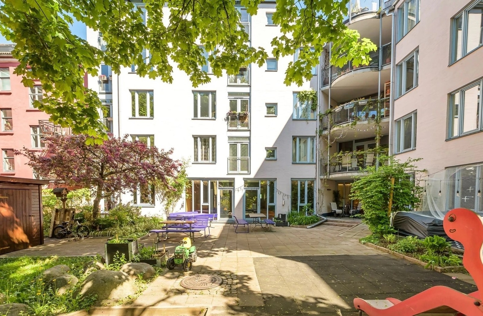 Annen hvert år kommer det aborister for å se til trærne i bakgården. Galleribilde