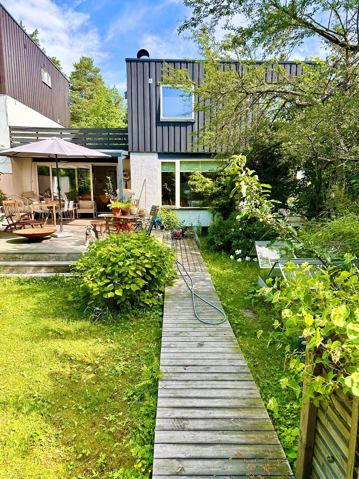 Selgers sommerbilde. En frodig og idyllisk hage. Galleribilde