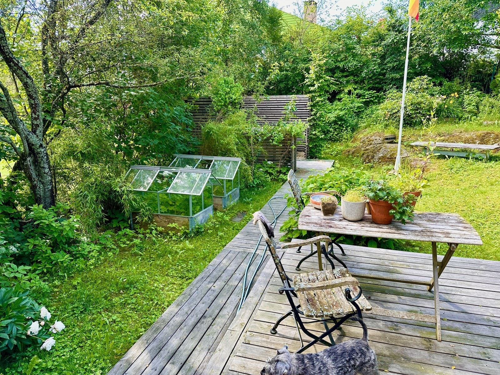 Selgers sommerbilde. En frodig og idyllisk hage. Galleribilde