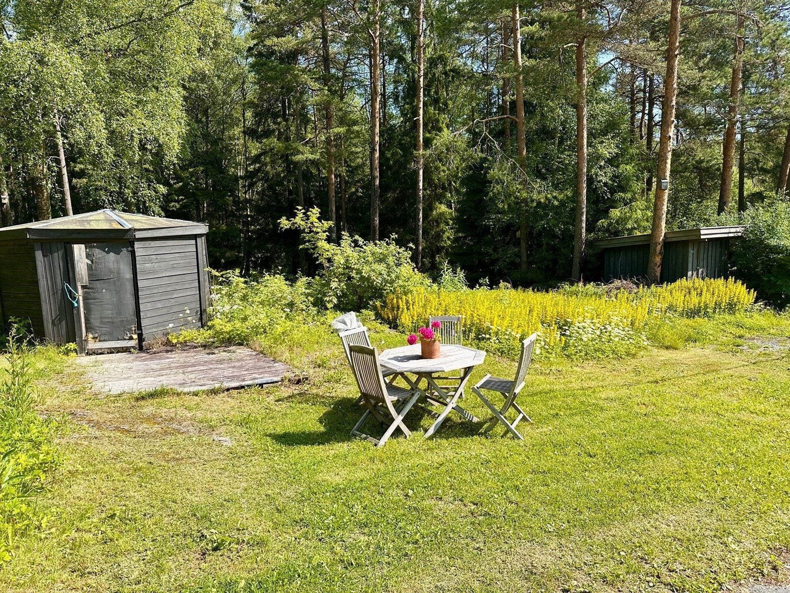 Selgers sommerbilde. Galleribilde