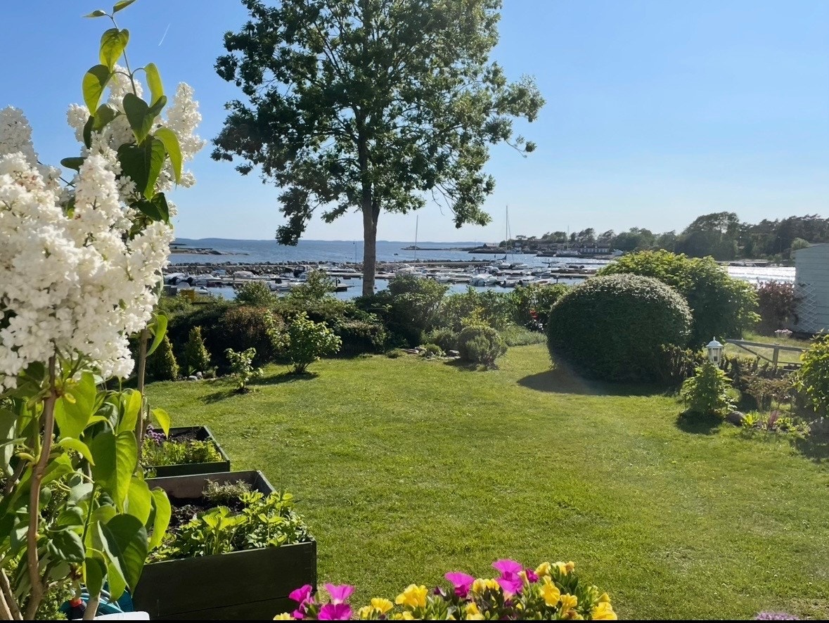 Privat bilde. Hagen på sommerstid! Galleribilde