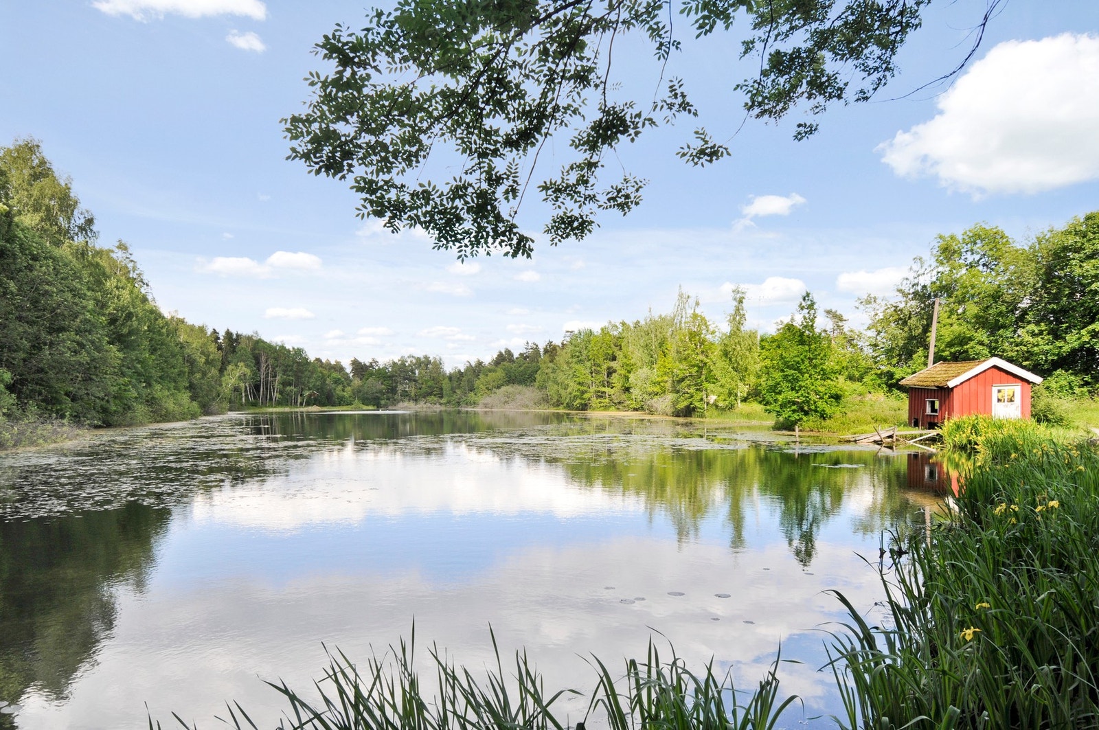 Idylliske Myradammen. Galleribilde